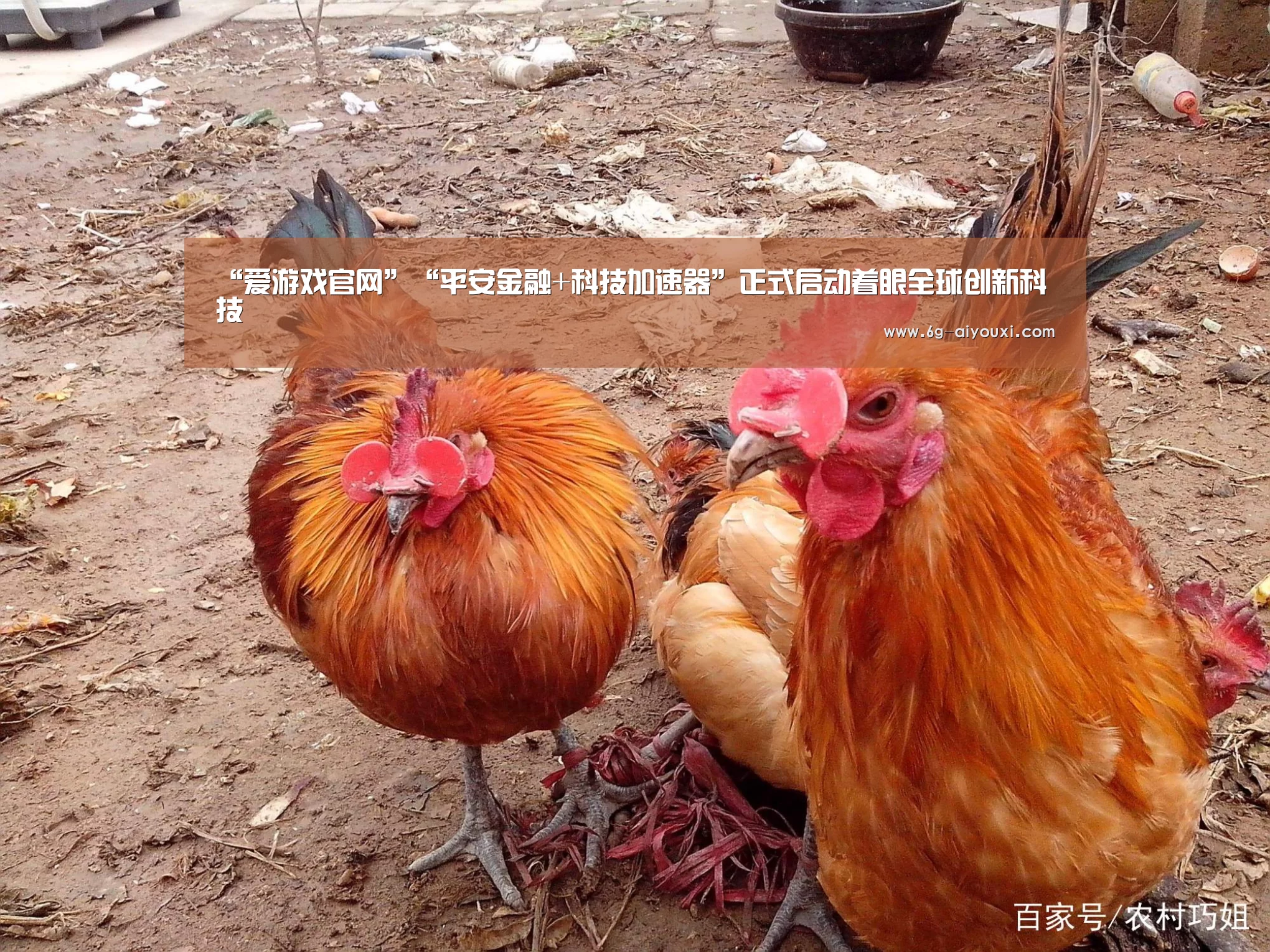 爱游戏官网